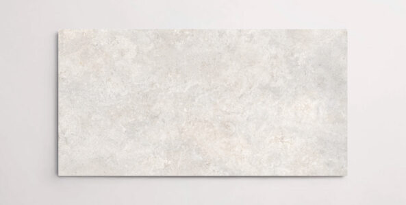 Nasco Stone + Tile 24" x 48" Eternity Perle porcelain tile.